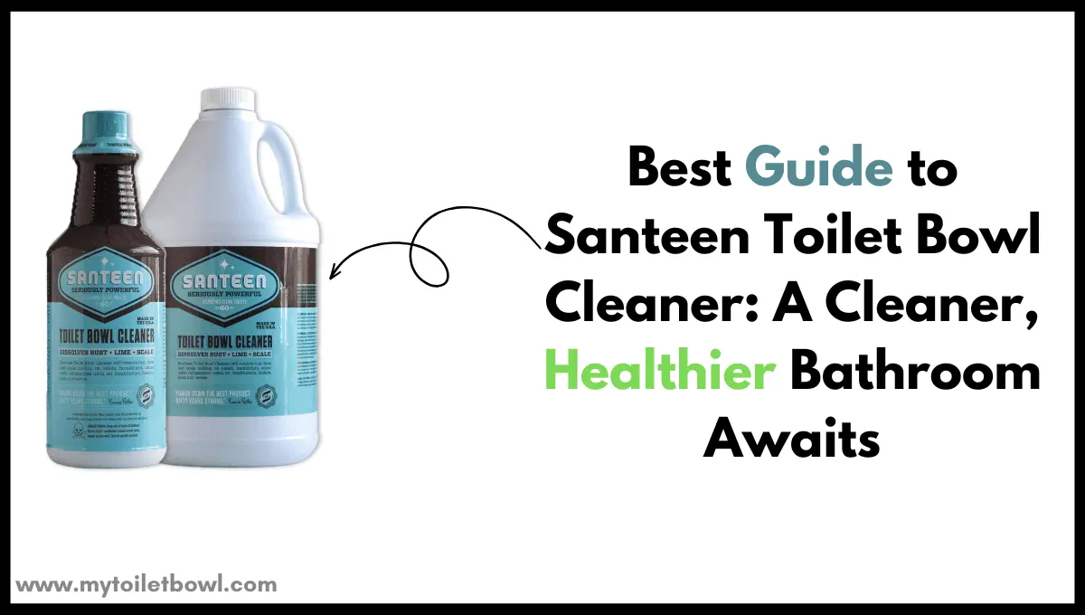 Santeen Toilet Bowl Cleaner
