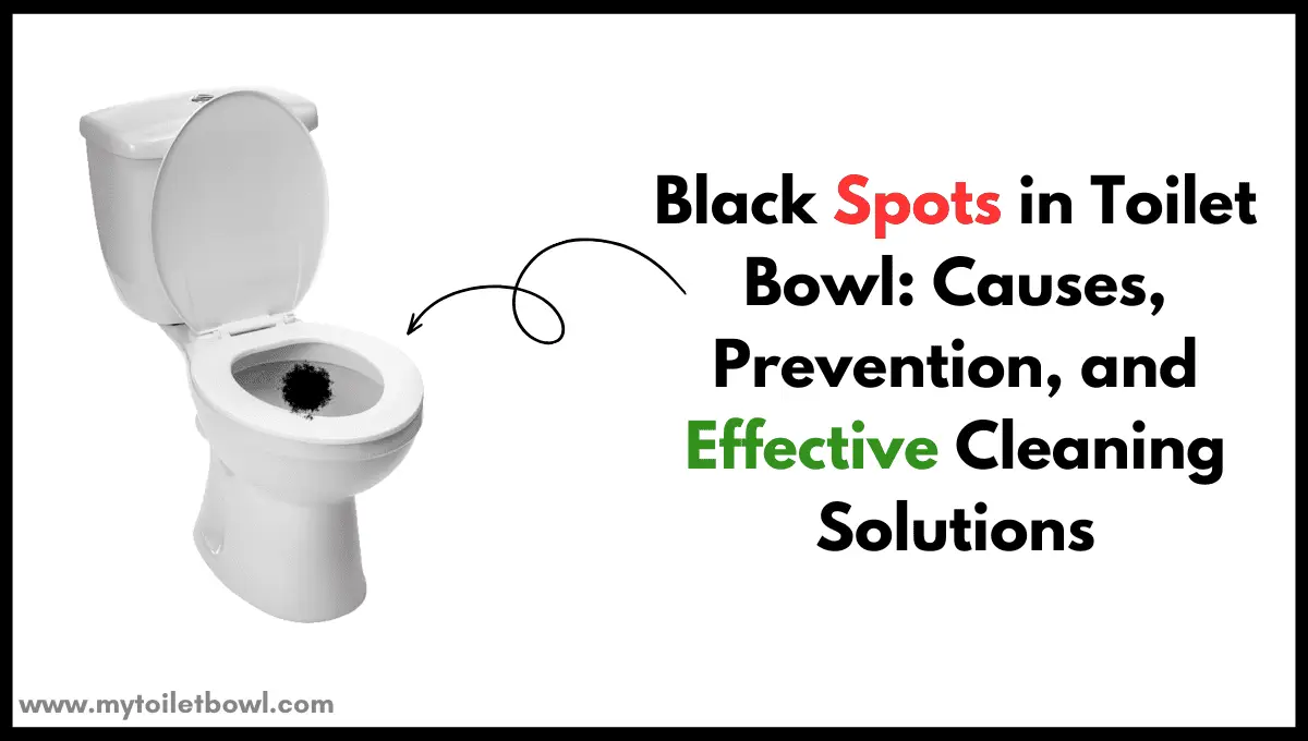 Black Spots in Toilet Bowl