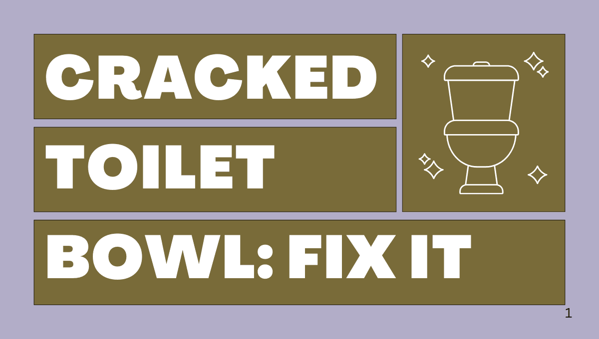 cracked toilet bowl